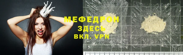 индика Осинники