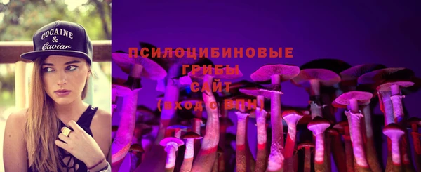 ECSTASY Остров