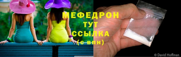 индика Осинники