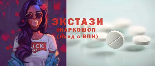 индика Осинники
