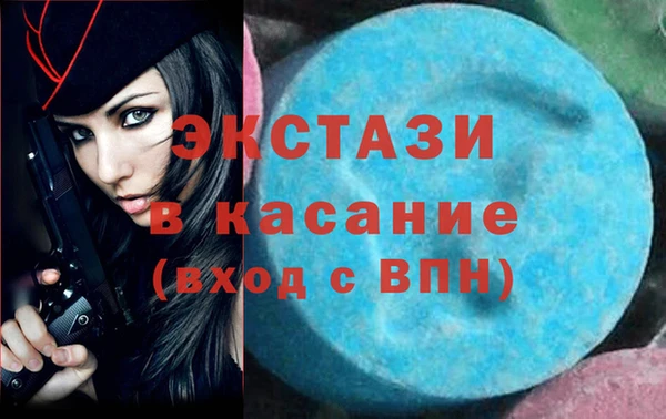 шишки Гвардейск