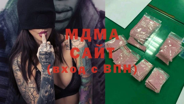 индика Осинники