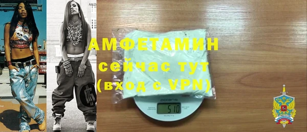 индика Осинники