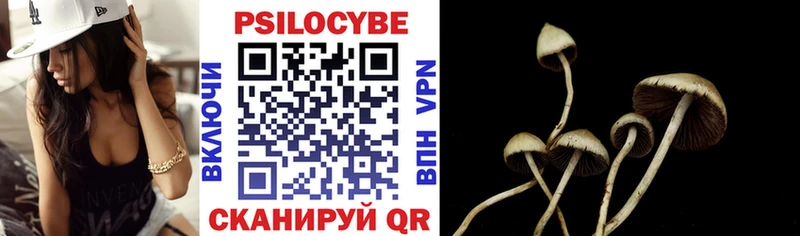 Псилоцибиновые грибы мицелий  Западная Двина 